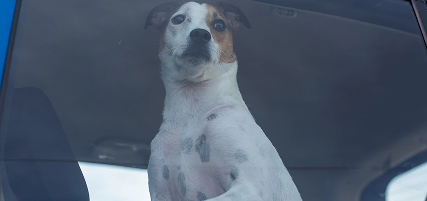 Car Lockout Solutions in Baldwin Park, California